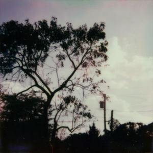 东北老妓女露脸对白在线播放
