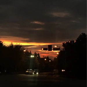 东北老妓女露脸对白在线播放
