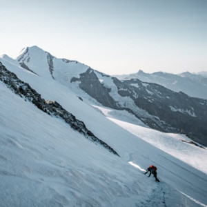 东北老妓女露脸对白在线播放
